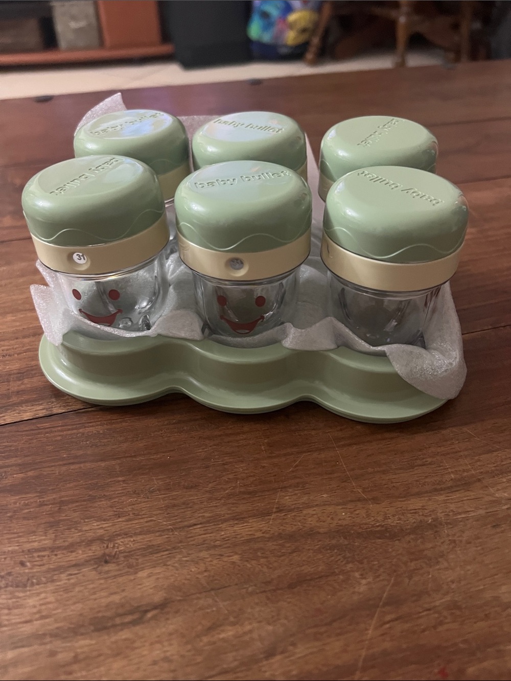 Baby Bullet 6-Piece Food Storage Jar Set in Sage Green